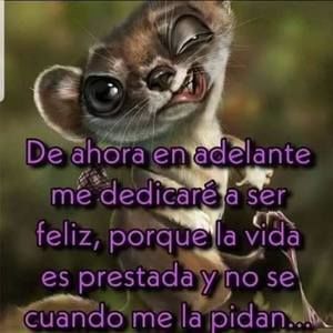 Meet your Posher, Genaro